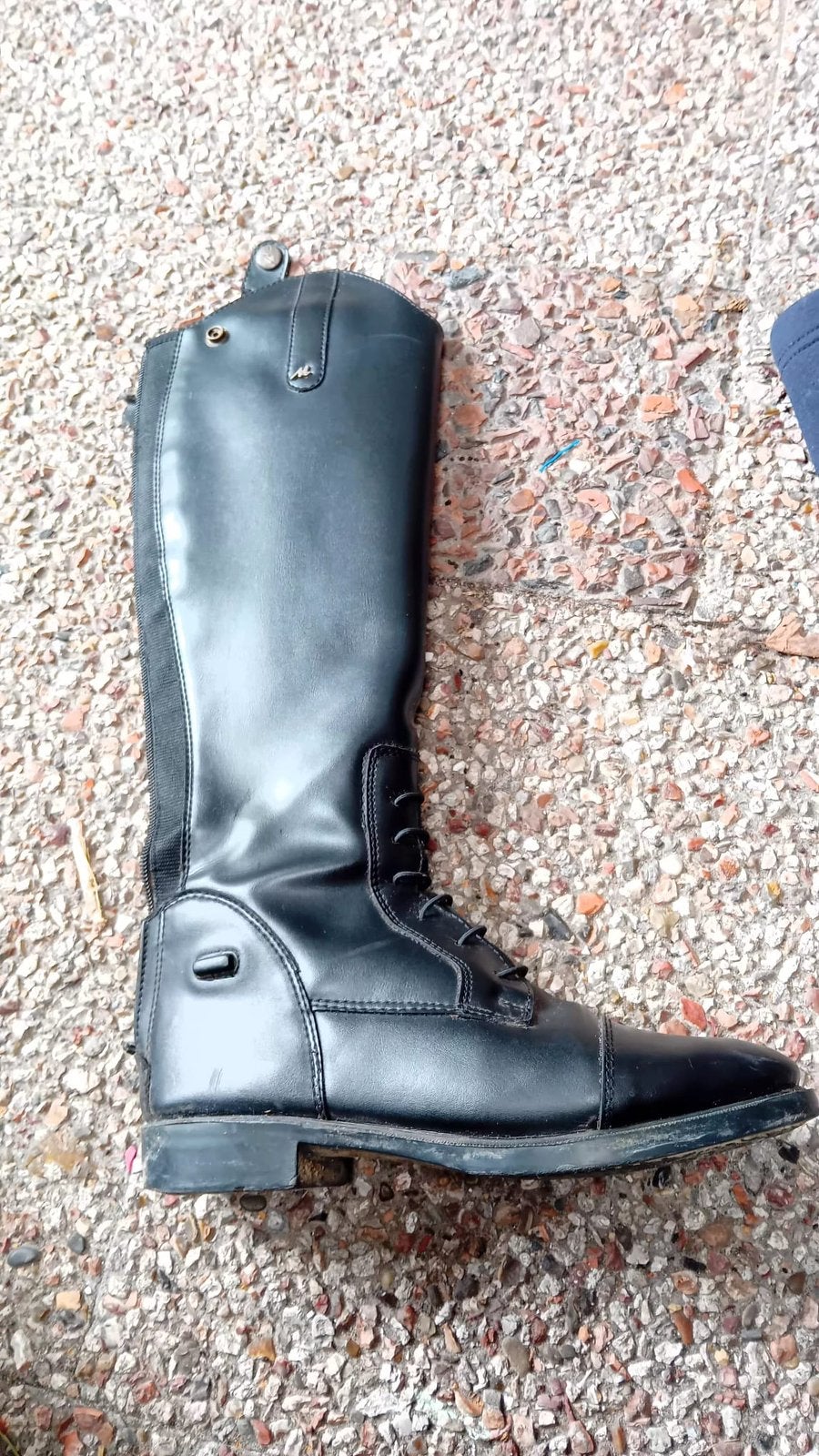 laarzen te koop, Gebruikt, Ritssluiting, Verzenden, Veelzijdigheid