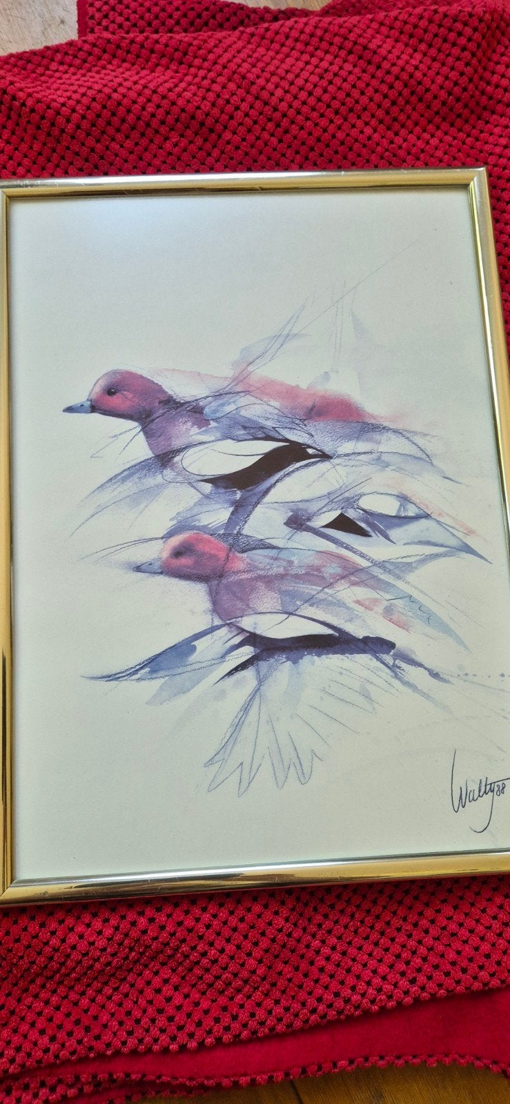 Ingelijste aquarel van vogels, gesigneerd Walty 1988, Ophalen of Verzenden, Tekening, Aquarel, Met ophangsysteem