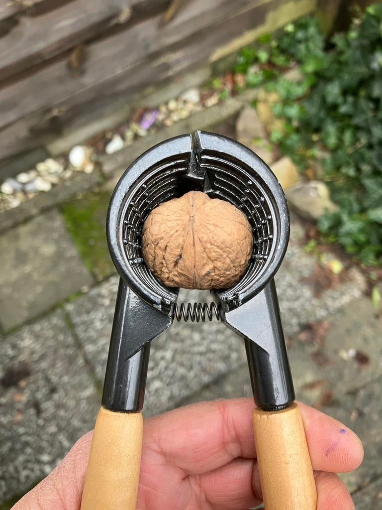 Notenkraker voor walnoten 🥜, Overige typen, Ophalen of Verzenden, Zo goed als nieuw, Zwart