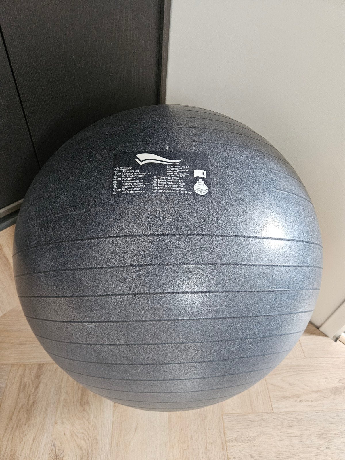 Fitnessbal ZGAN - Ideaal voor training en revalidatie, Ophalen of Verzenden, Zo goed als nieuw, Buik, Fitnessbal