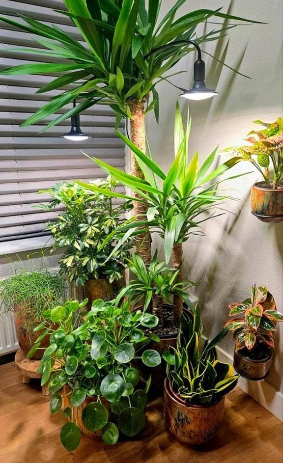 NIEUW: 18W Full Spectrum Led Groeilampen met klemhouder, Huis en Inrichting, Kamerplanten, Ophalen of Verzenden