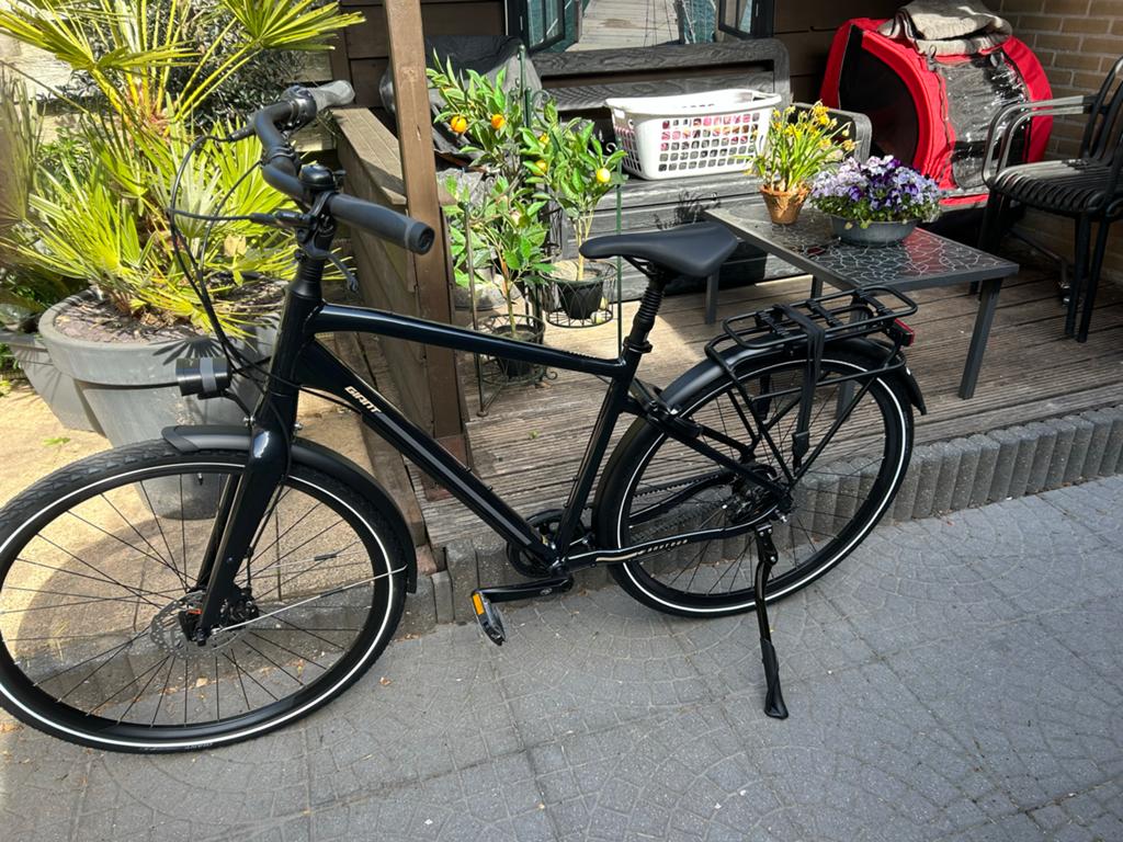 Giant fiets met schijfremmen en riemaandrijving, Versnellingen, Nieuw, Schijfrem, 53 tot 57 cm