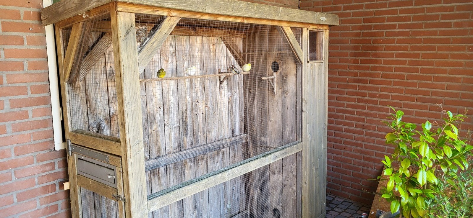 mooie voldux voliere, Ophalen, Hout, Volière