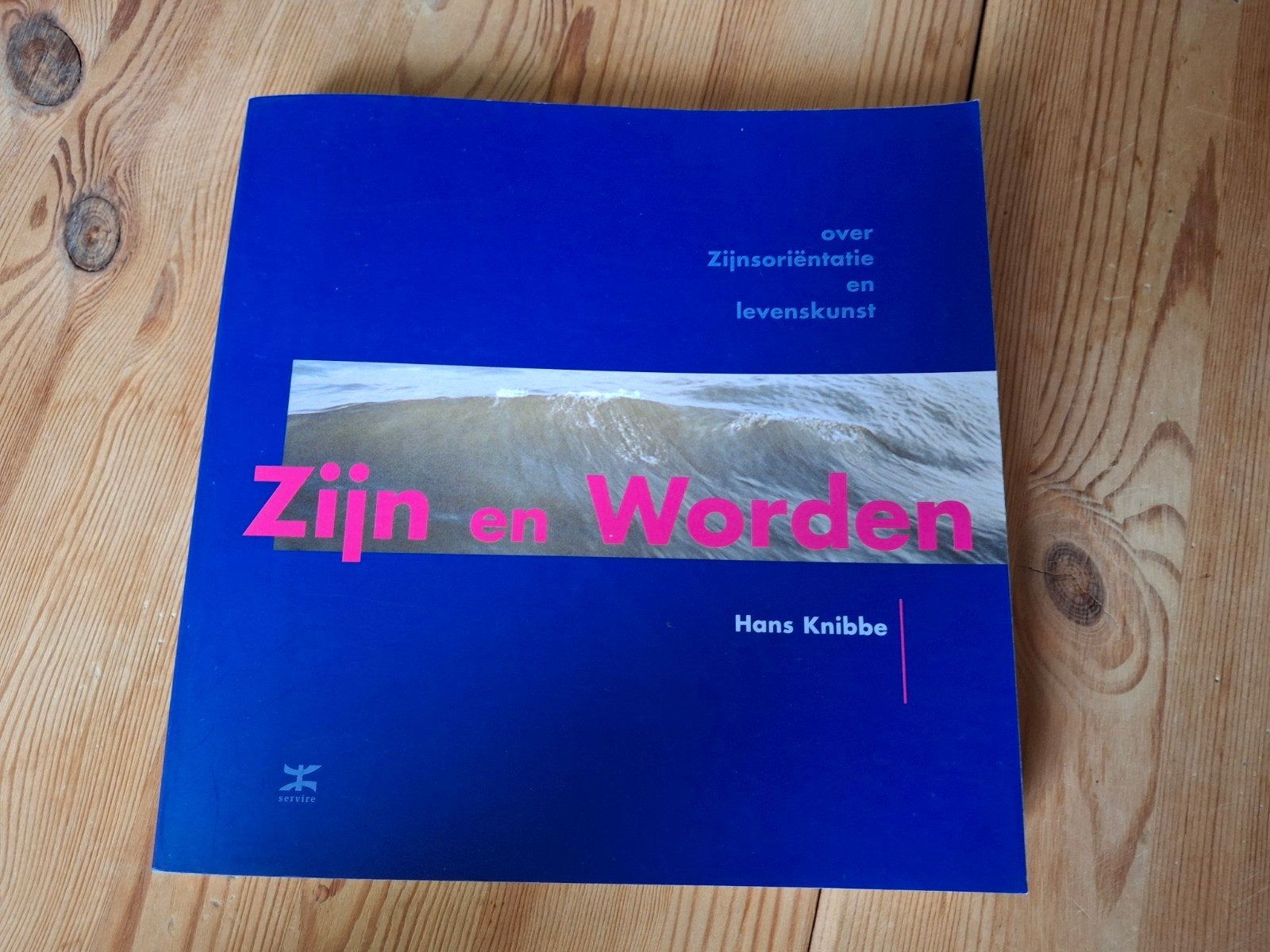 Hans Knibbe - Zijn en Worden, Boeken, Ophalen of Verzenden, Gelezen, Hans Knibbe