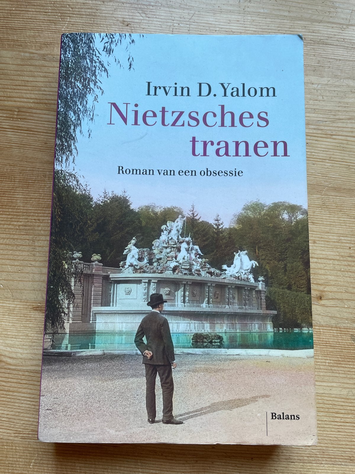 Nietzsches tranen - Irvin D. Yalom (Roman), Ophalen of Verzenden, Gelezen