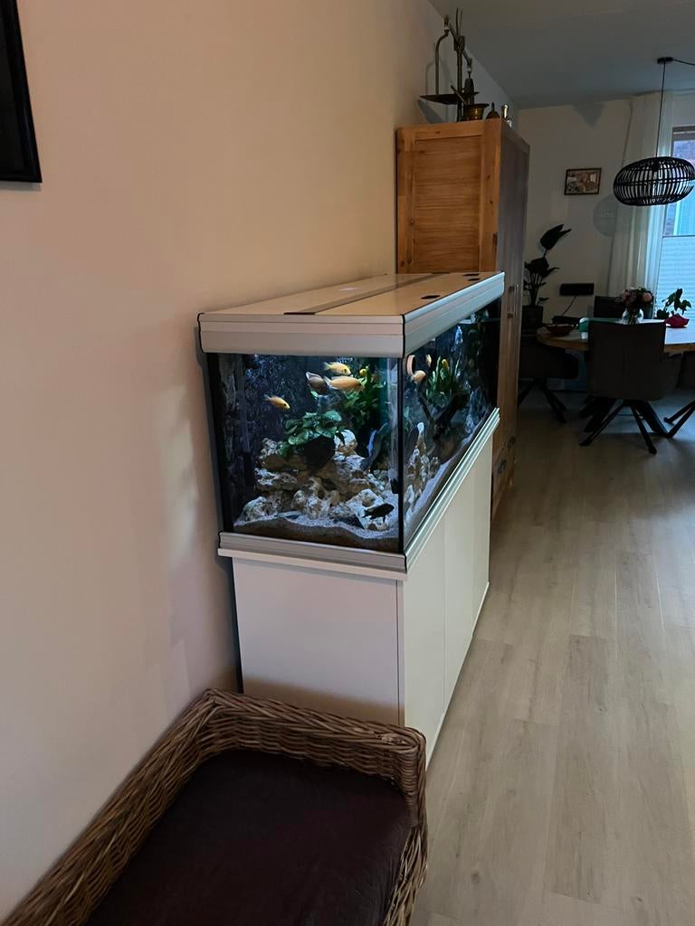 Aquatlantis 150  x60 cm, Ophalen, Zo goed als nieuw, Aquariummeubel, Aquatlantis