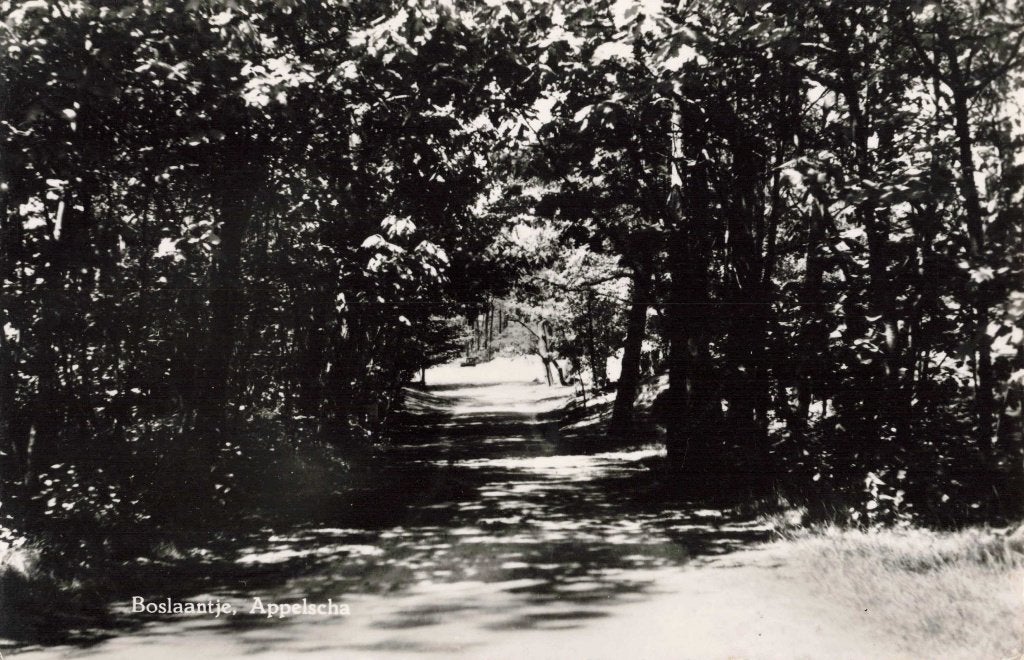 Appelscha Boslaantje L3063, Ophalen, 1960 tot 1980, Gelopen, Friesland
