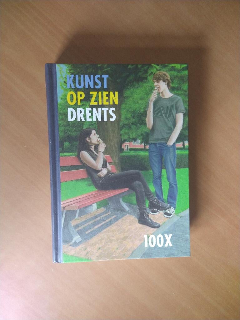 100 x Kunst op zien Drents, Ophalen of Verzenden, Zo goed als nieuw