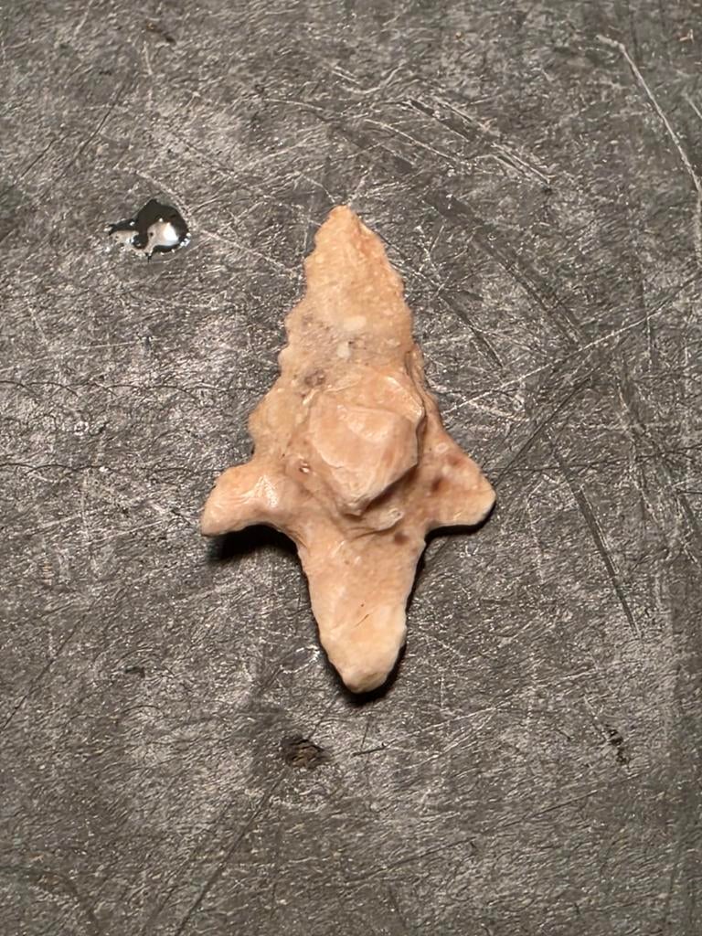 Pijlpunt prehistorie, Verzamelen, Mineralen en Fossielen, Ophalen of Verzenden