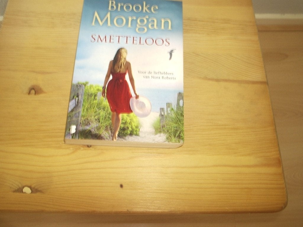 roman van BROOKE MORGAN, Ophalen of Verzenden, Zo goed als nieuw, Brooke morgan, Nederland
