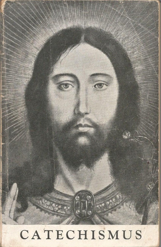 Catechismus der Nederlandse Bisdommen - Bisdom Breda, Boeken, Gelezen, Ophalen of Verzenden, Christendom | Katholiek, Bisschop van Breda