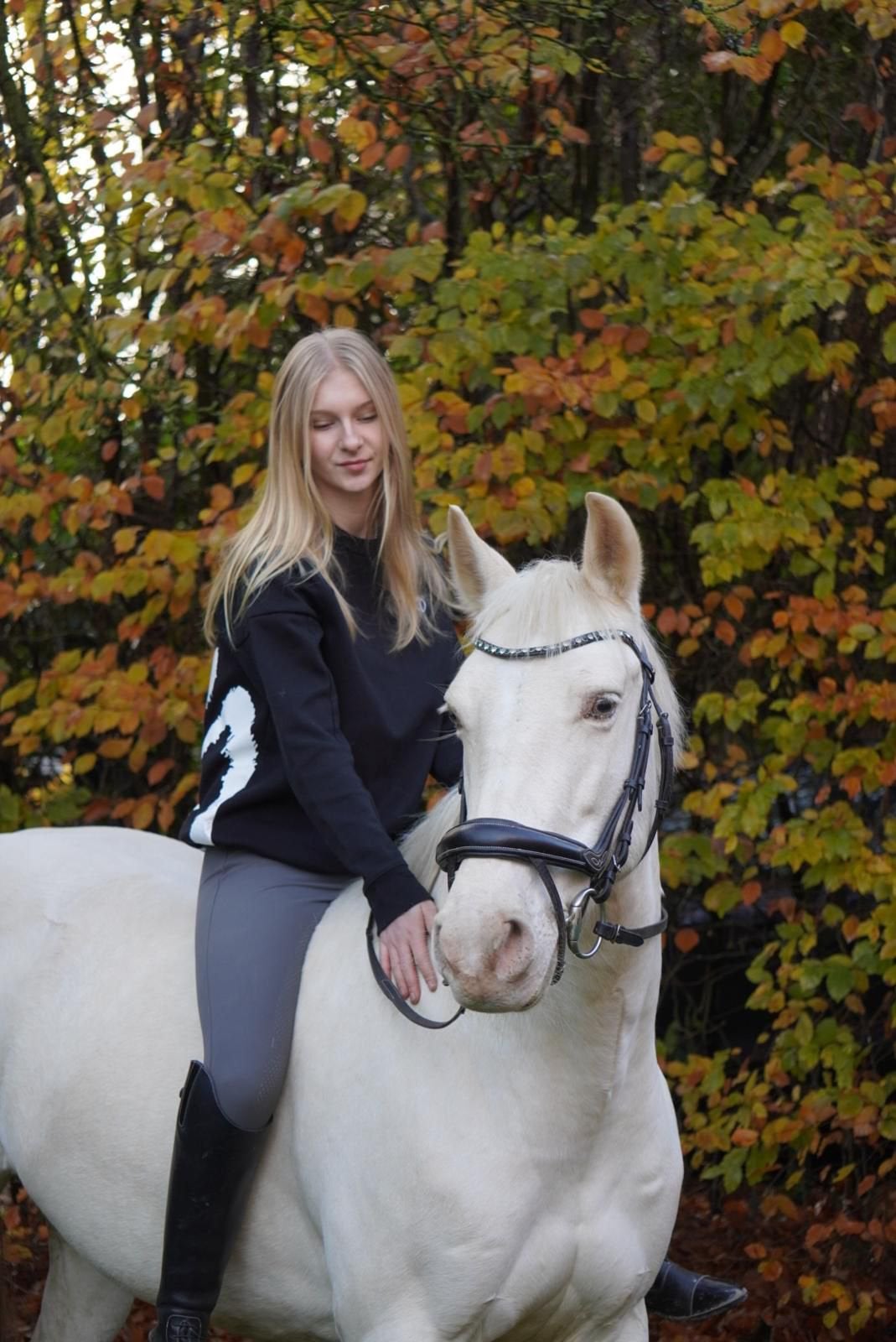️Mooie 6- jarige D-pony️, Merrie