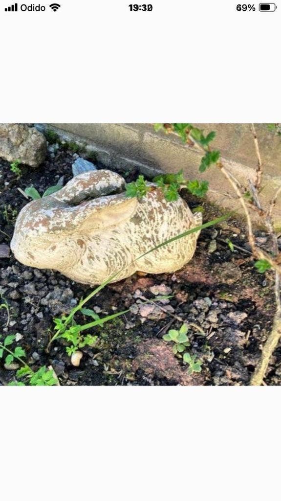 Twee betonnen konijnen tuin beeld, Tuin en Terras, Tuinbeelden, Ophalen, Gebruikt, Beton, Dierenbeeld