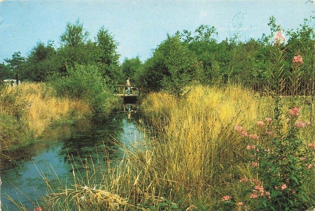 Sporthuis Centrum Bungalowpark Het Meerdal, America, Ophalen of Verzenden, 1980 tot heden, Gelopen, Limburg