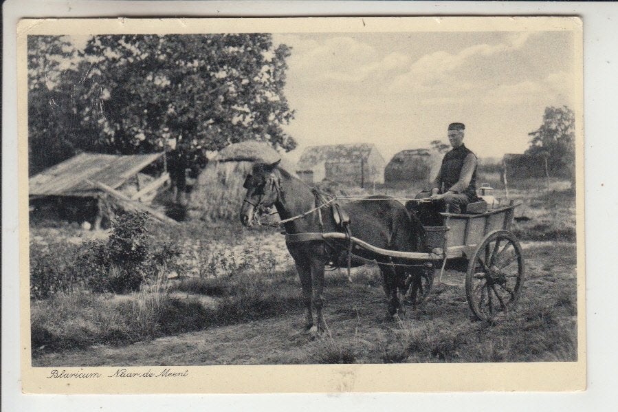 Blaricum - Klederdracht, Naar de Meent - Paard en Wagen, Ophalen of Verzenden, 1920 tot 1940, Gelopen, Noord-Holland