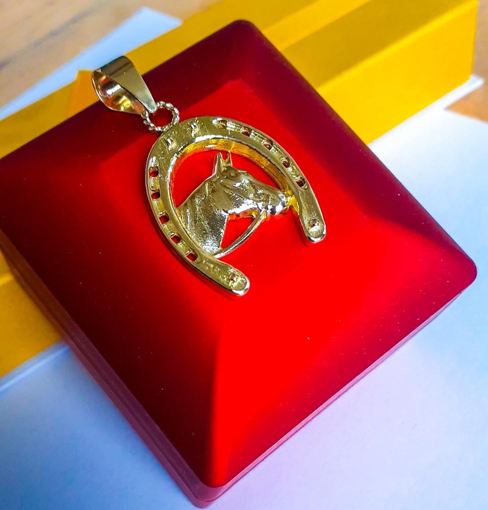 14 karaat gouden hanger paard hoefijzer, Sieraden, Tassen en Uiterlijk, Kettinghangers, Ophalen, Zo goed als nieuw, Goud, Goud
