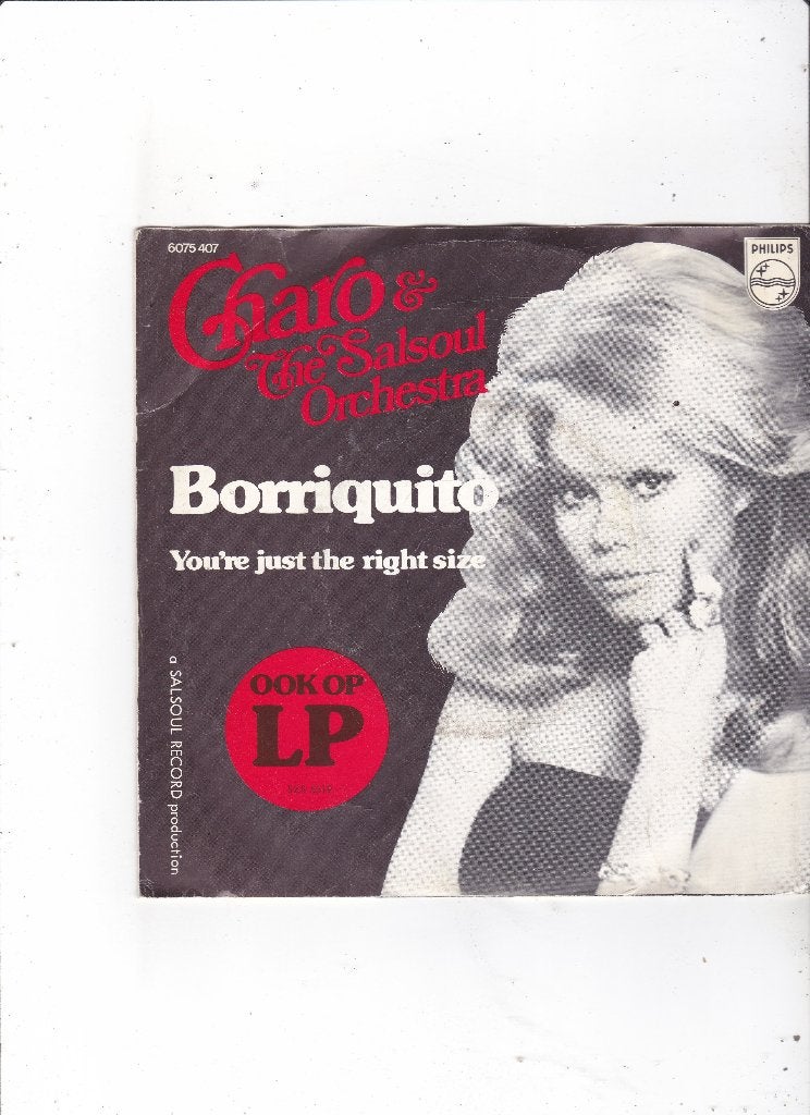 Single Charo & The Salsoul Orchestra - Borriquito, Ophalen of Verzenden, Gebruikt, 7 inch, Pop