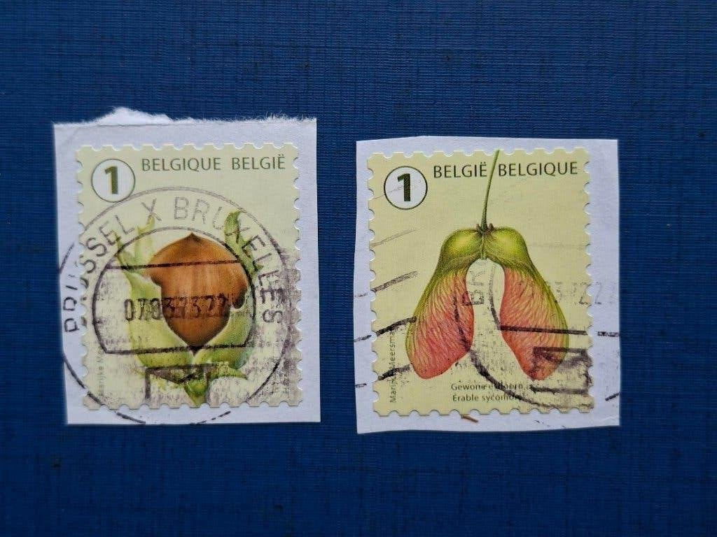Postzegel Belgie 2021 2 Boomfruit zegels 06-06, Ophalen of Verzenden, Gestempeld, Frankeerzegel