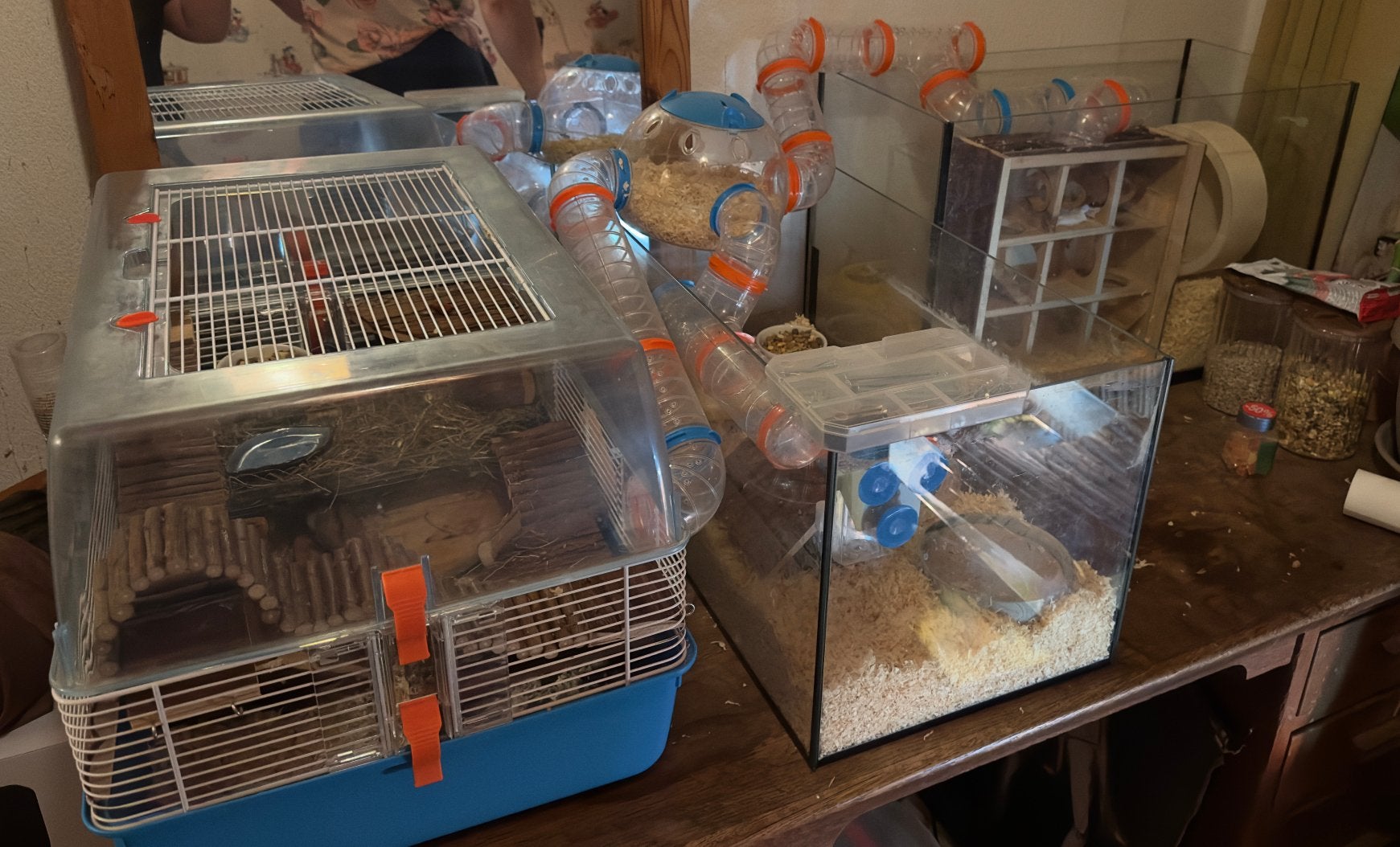Hamsterkooi met twee kleine aquaria, Kooi, Gebruikt, Minder dan 75 cm, Ophalen
