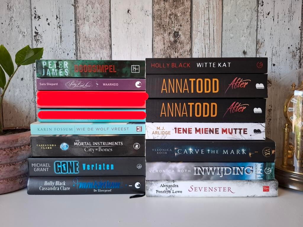 Boekenpakket: 13 boeken van diverse populaire auteurs, Ophalen of Verzenden, Zo goed als nieuw