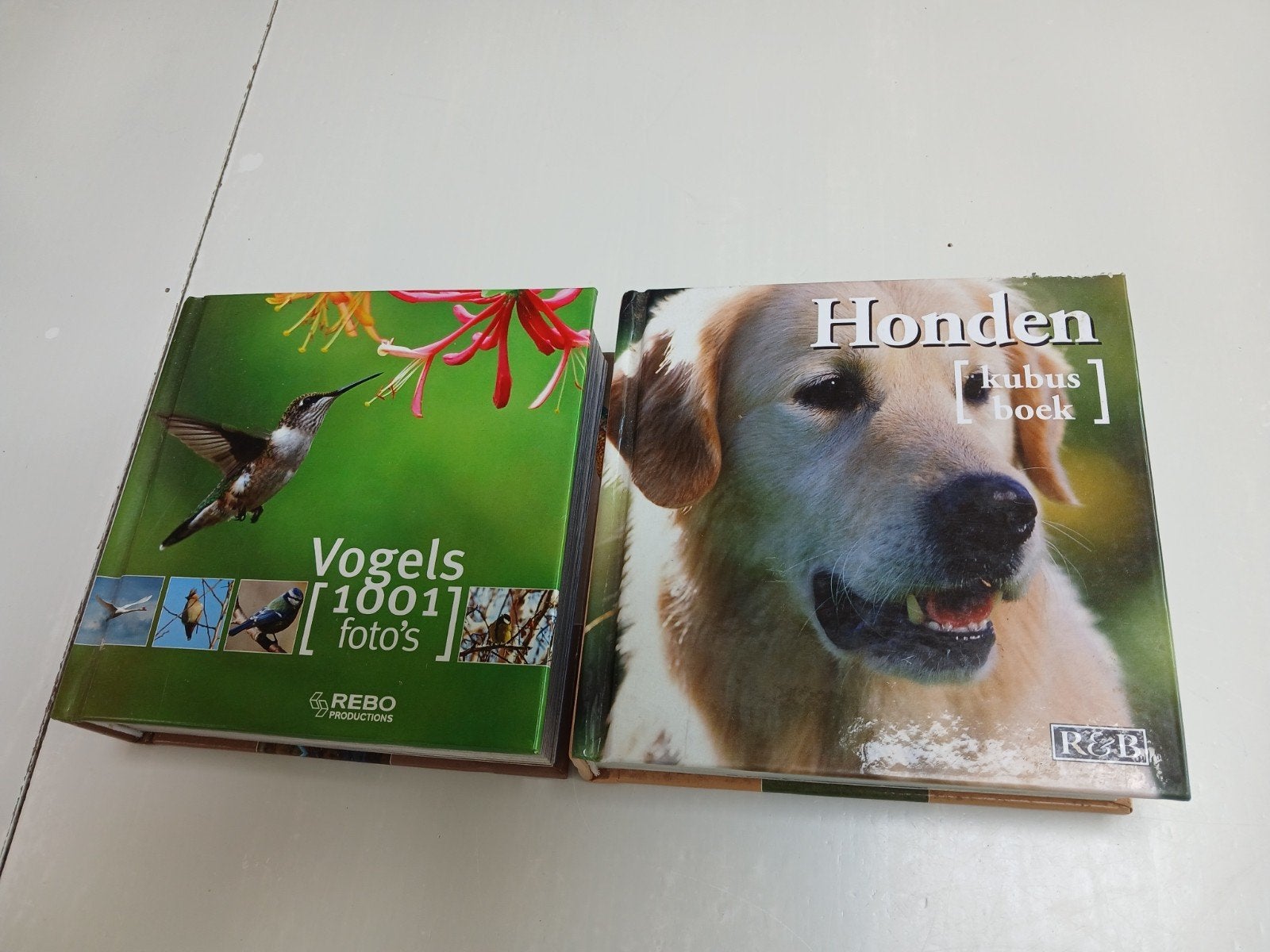 Honden en Vogel boeken, Ophalen of Verzenden, Zo goed als nieuw, Honden
