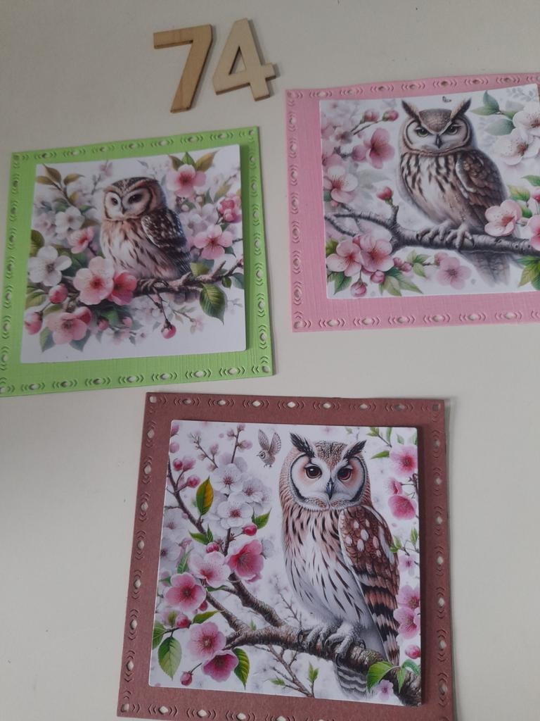 Stansjes, oplegsetjes, Hobby en Vrije tijd, Kaarten | Zelf maken, Ophalen of Verzenden, Nieuw, Overige thema's, Overige typen