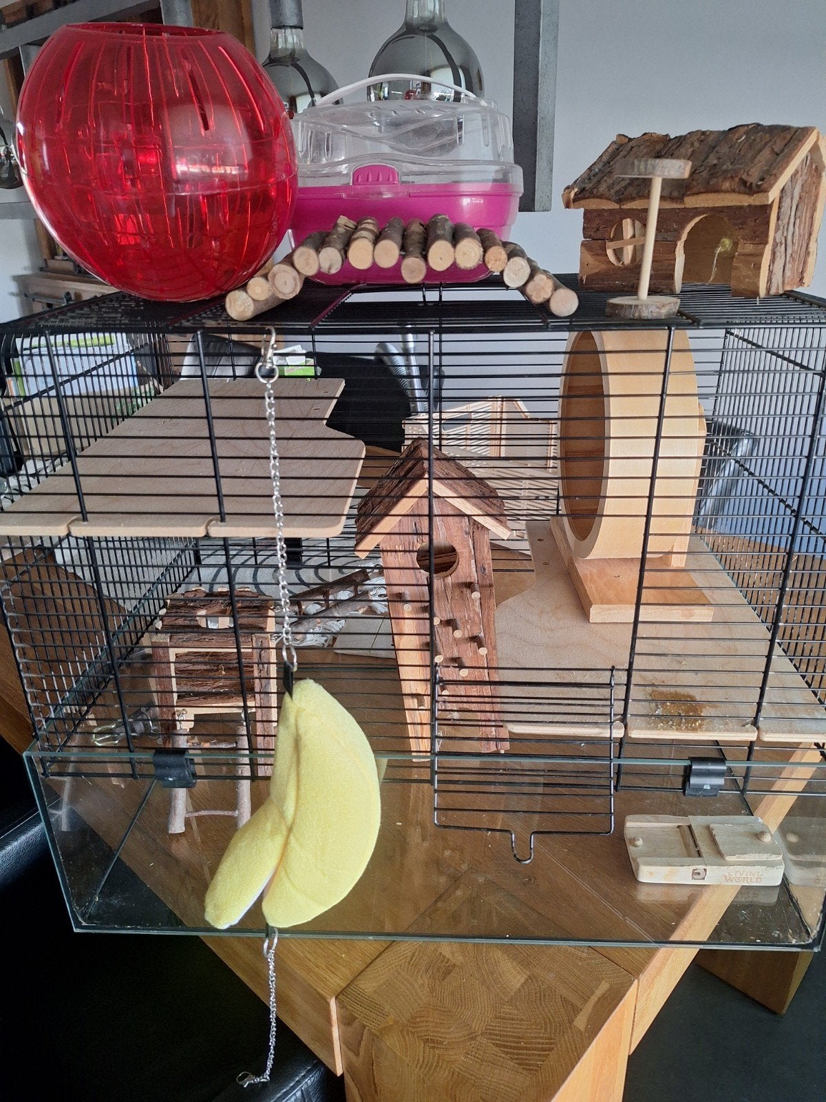 hamsterkooi, Dieren en Toebehoren, Kooi, Minder dan 75 cm, Hamster, Ophalen