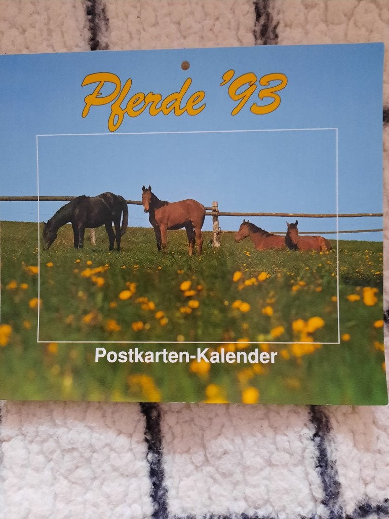 ansichtkaart kaart paard paarden veulen, Ophalen, 1980 tot heden, Ongelopen, Paard