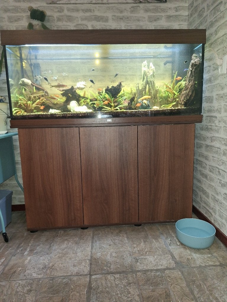 Aquarium, Dieren en Toebehoren, Ophalen, Zo goed als nieuw, Gevuld zoetwateraquarium, Juwel