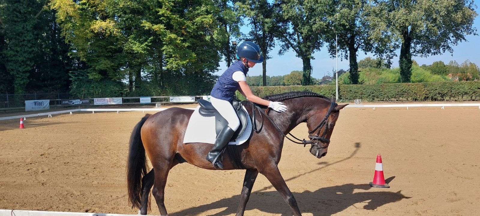 Recreatiepony, Dieren en Toebehoren, Ruin, 11 jaar of ouder, Recreatiepony, D pony (1.37m tot 1.48m)