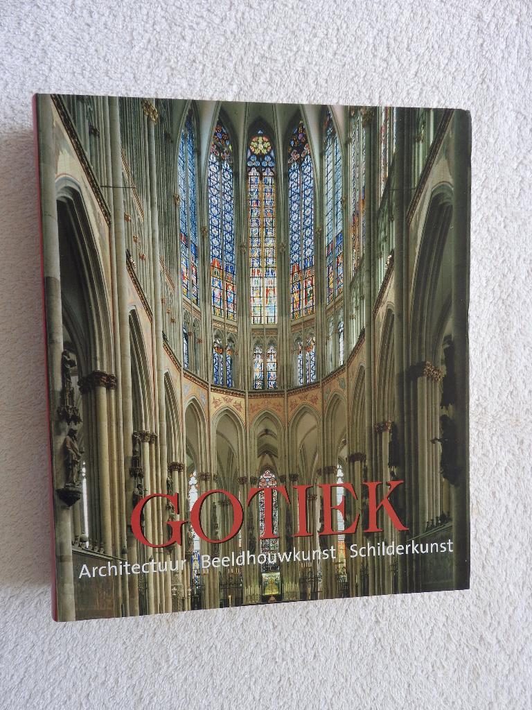 Gothiek - Architectuur Beeldhouwkunst Schilderkunst, Ophalen of Verzenden, Zo goed als nieuw, Architecten