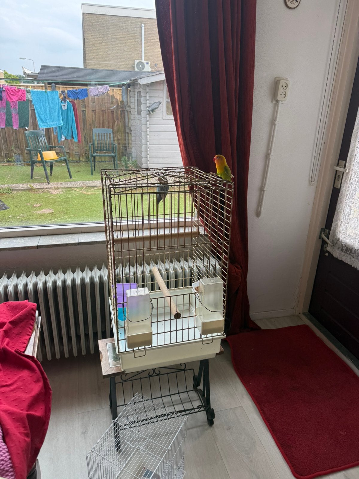 Vogels