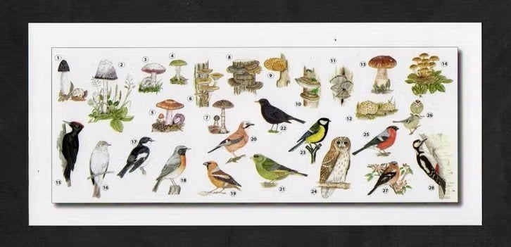 Merel Specht Vink Koolmees Bosuil Stinkzwam Inktzwam., Ophalen of Verzenden, 1980 tot heden, Ongelopen, Vogel