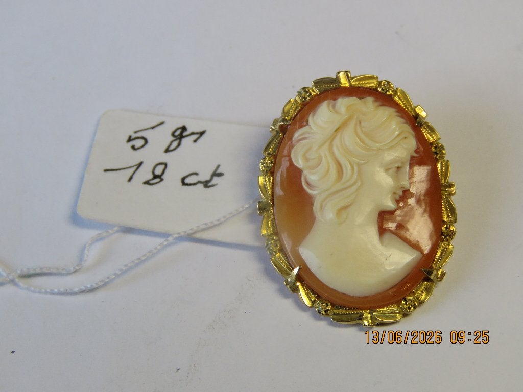 Gouden hanger of speld  075, Sieraden, Tassen en Uiterlijk, Kettingen, Ophalen of Verzenden, Zo goed als nieuw, Geel, Goud