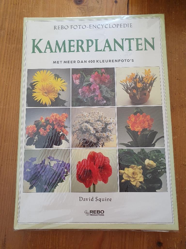 Mooi, groot, interessant, kamerplanten boek., Ophalen of Verzenden, Halfschaduw, Minder dan 100 cm