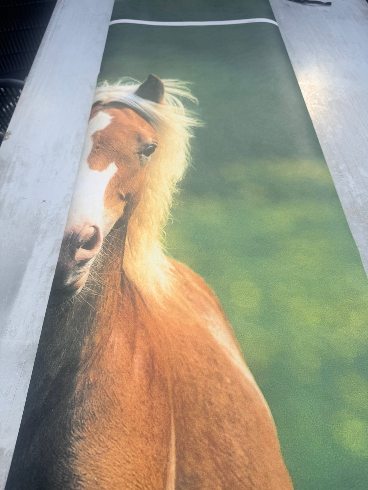 Wanddecoratie paard - Bruin met blonde manen, Ophalen, Papier/karton, Zo goed als nieuw, Bruin