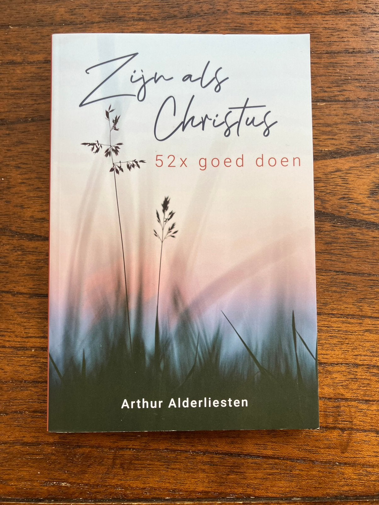 Arthur Alderliesten - Zijn als Christus, Ophalen of Verzenden, Zo goed als nieuw, Christendom | Katholiek