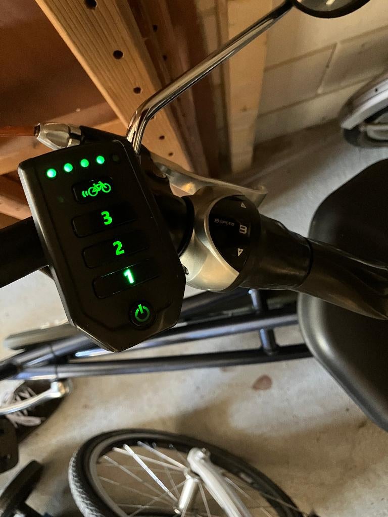 Elektrische Easyrider  van Raam, Ophalen, Gebruikt, Van Raam