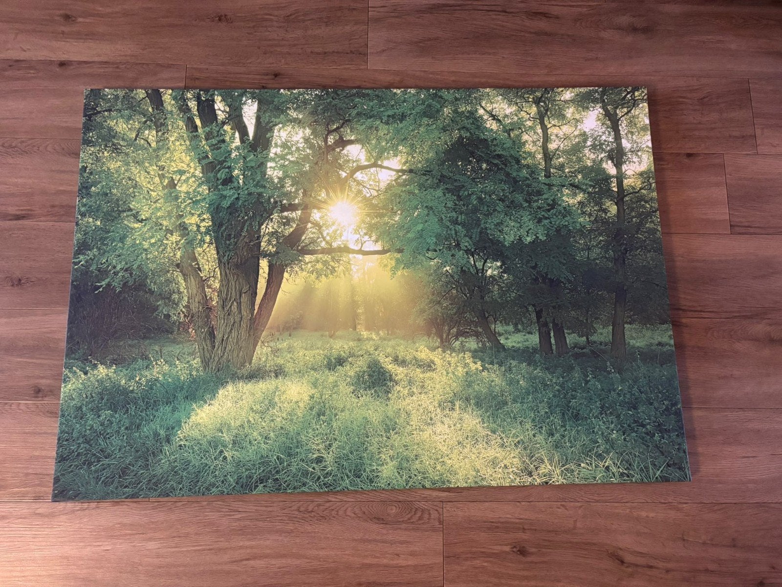 Schilderij zonsopgang bos, Ophalen, Zo goed als nieuw, Schilderij, 75 – 100