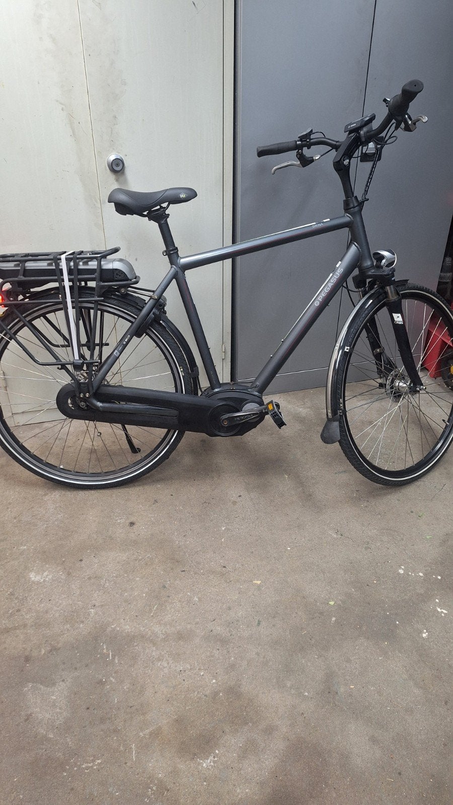 Pegasus siena bosch, 55 tot 59 cm, Ophalen of Verzenden, Gebruikt, Overige merken