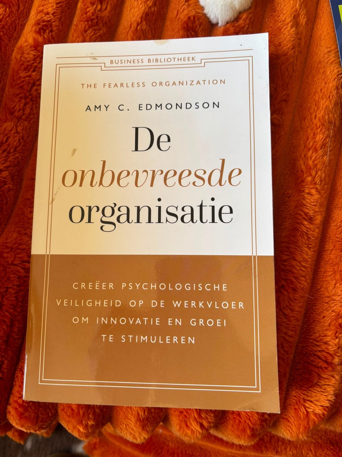 Psychologie boeken, Ophalen of Verzenden, Gelezen, Sociale psychologie