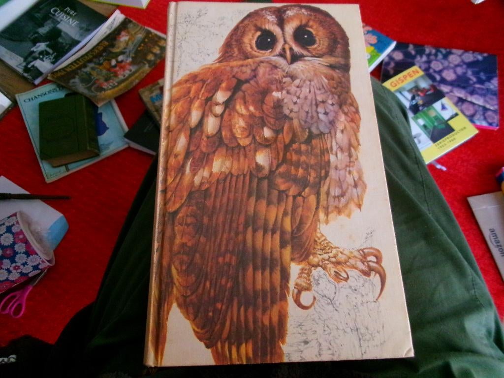 HET BESTE VOGELBOEK, Ophalen of Verzenden, Zo goed als nieuw, Natuur algemeen