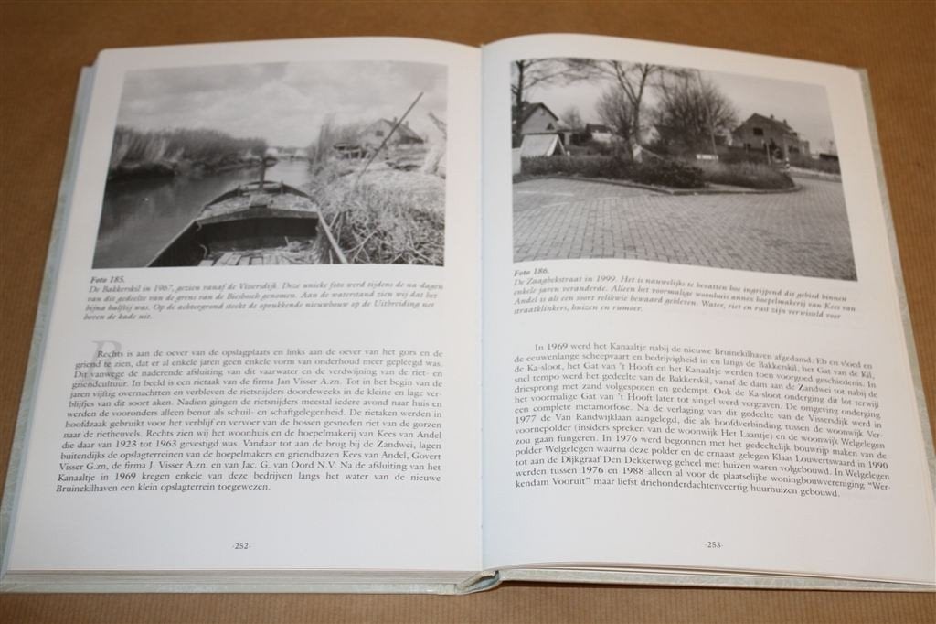 Werkendam. Geschiedenis van een Biesboschdorp [1900-1940]., Ophalen of Verzenden, Gelezen