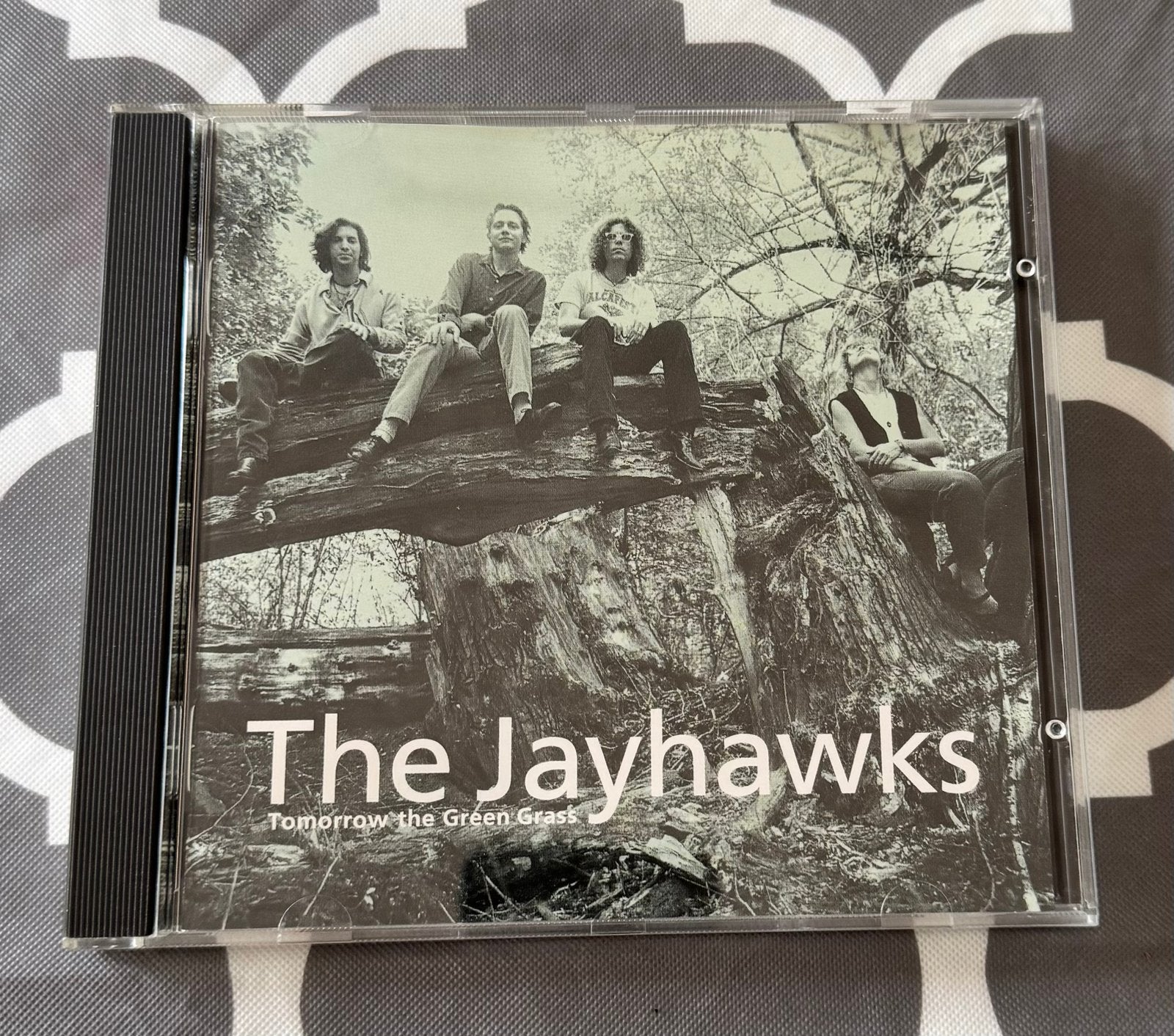 Cd The Jayhawks - Tomorrow the green grass, Pop, Ophalen of Verzenden, Zo goed als nieuw, Album