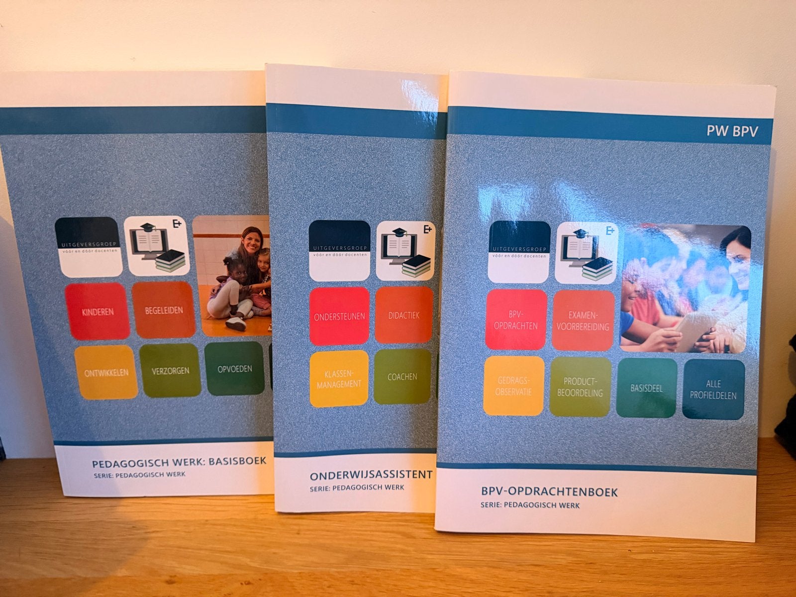 Pedagogisch Werk boeken (Basisboek, Onderwijsassistent, BPV), Boeken, Schoolboeken, Ophalen of Verzenden, Zo goed als nieuw, Overige niveaus