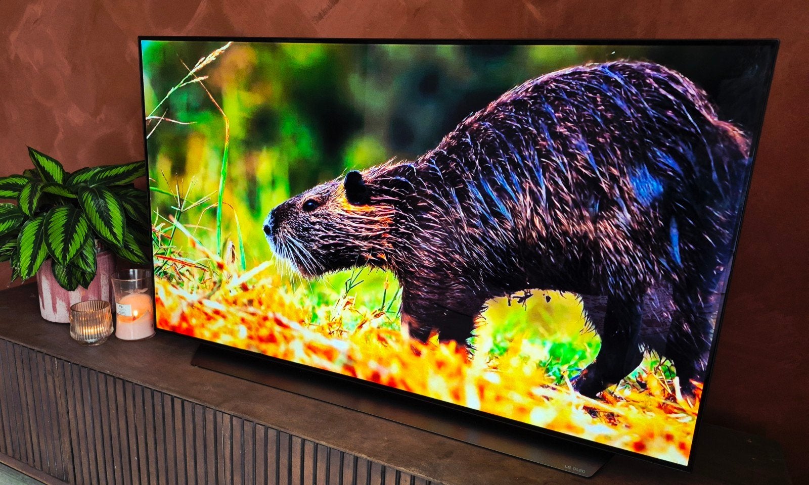 Foto 3 van Prachtige (4K/120hz/HDMI 2.1) LG OLED55C9PLA 55" Smart TV