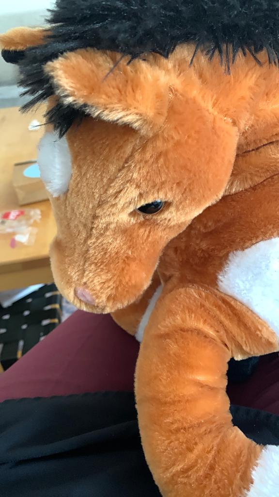 Super leuke knuffel Nieuw, Ophalen of Verzenden, Nieuw