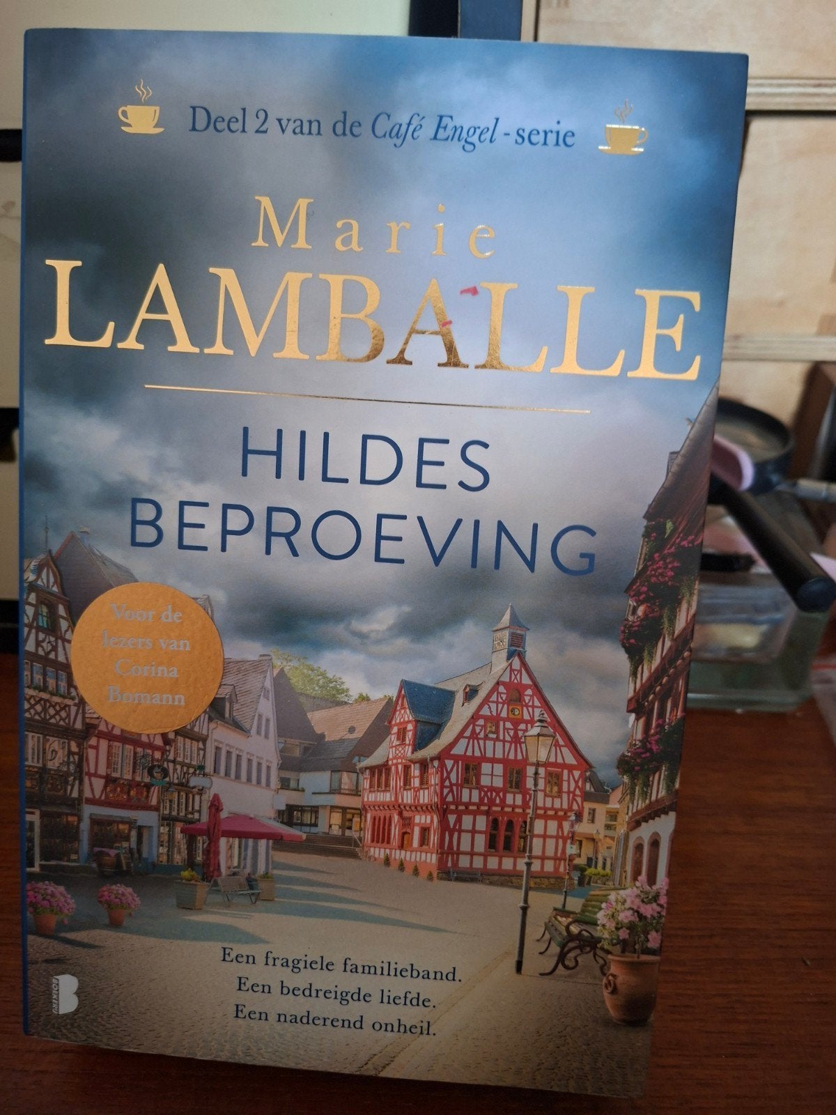 Marie Lamballe - Hildes beproeving, Verzenden, Zo goed als nieuw, Marie Lamballe