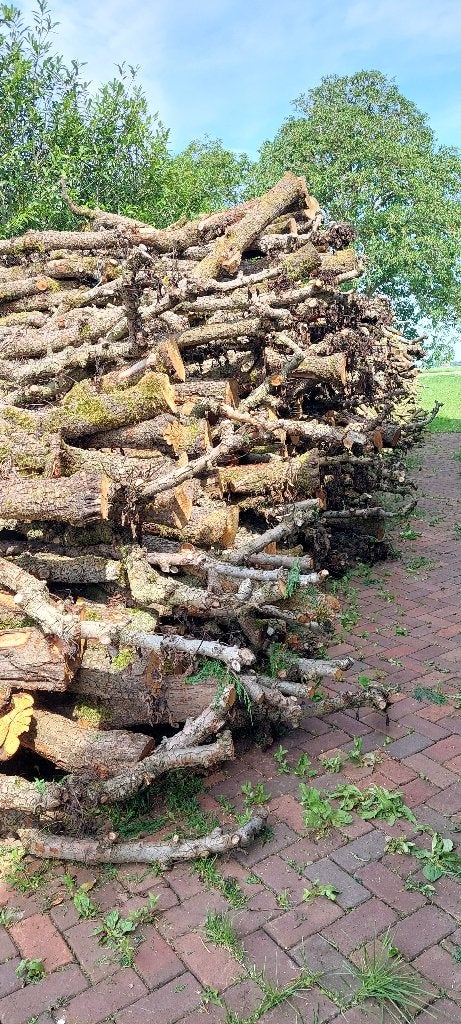 Openhaardhout peren ongekloofd, Tuin en Terras, Haardhout, 6 m³ of meer, Ophalen of Verzenden, Overige houtsoorten, Stammen