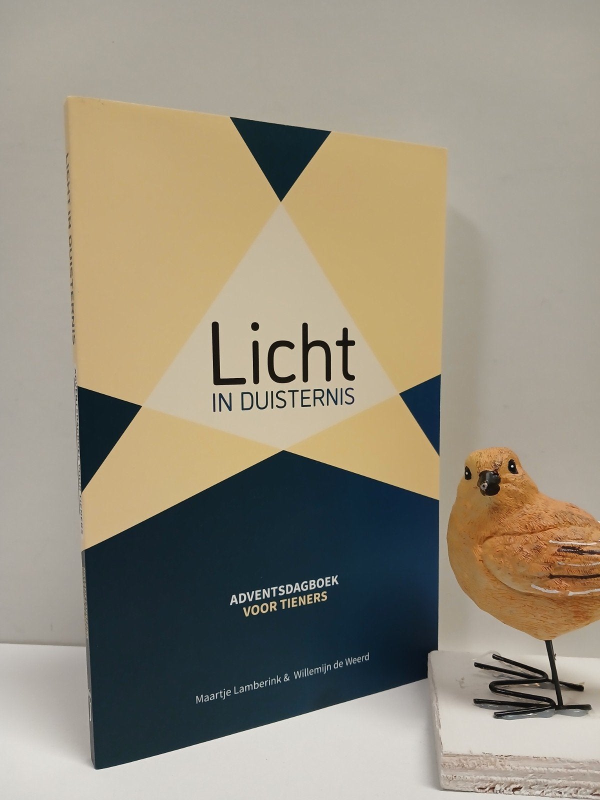 Lamberink, Maartje e.a.; Licht in Duisternis, Ophalen of Verzenden, Gelezen, Christendom | Protestants